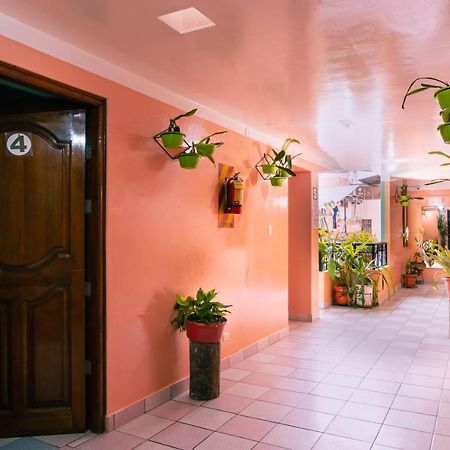 Alpa Kasa Chachapoyas Otel Dış mekan fotoğraf